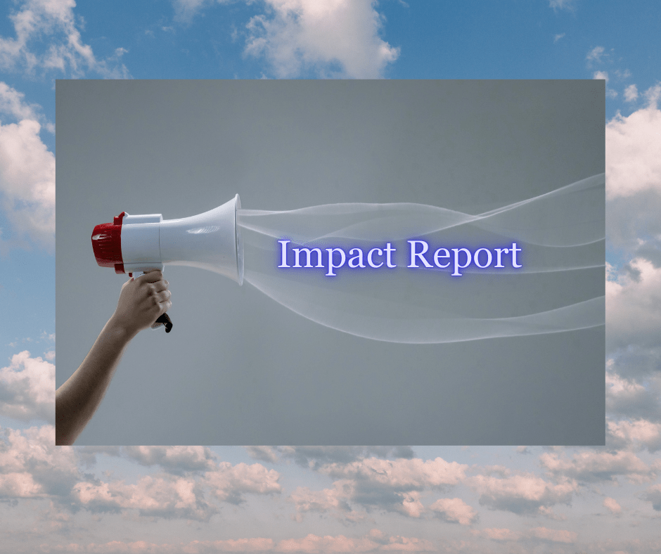 Megaphone amplifying the words “Impact Report” against a cloudy sky background.